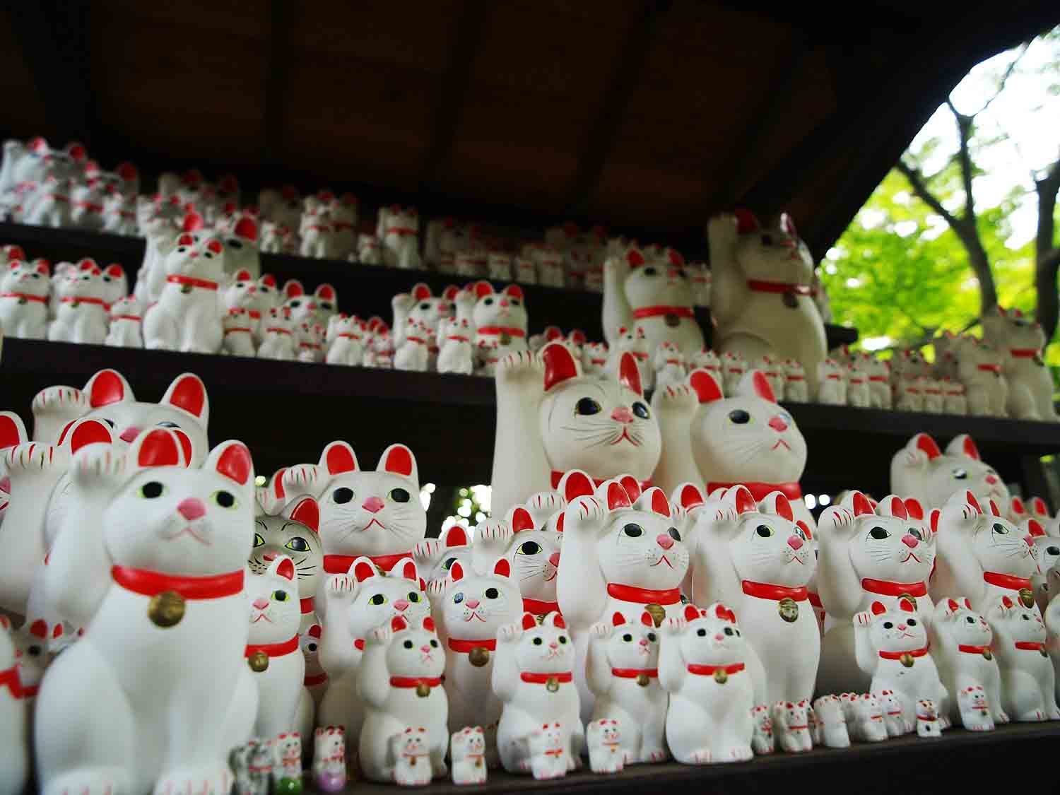 右手を挙げて福を呼ぶ豪徳寺の招き猫 願が成就したお礼として奉納されている 豪徳寺は招き猫発祥の地とも言われるs
